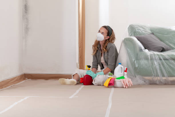 Reliable Basement Mold Remediation contractor in Newburg, PA by WQB Mold Removal